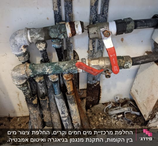 לפני ההחלפה